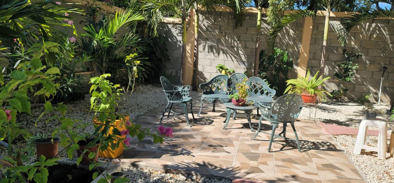 Casita De Las Flores San Jose de Ocoa Zewnętrze zdjęcie